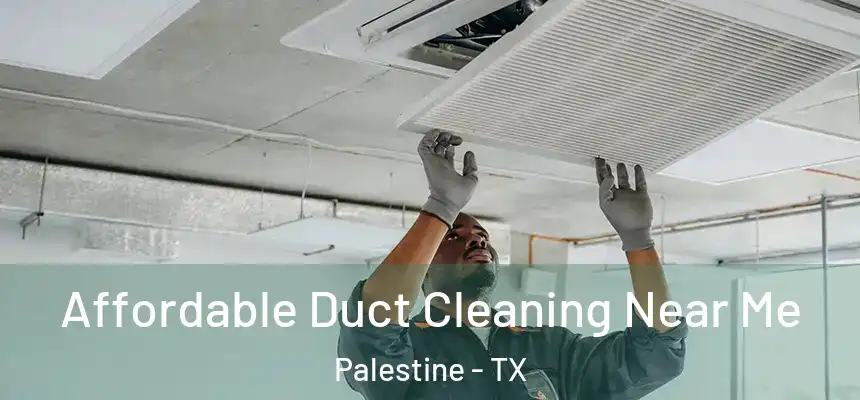  Affordable Duct Cleaning Near Me Palestine - TX