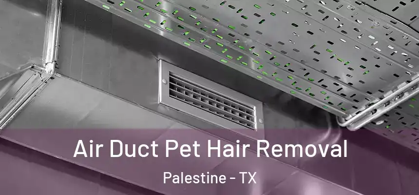  Air Duct Pet Hair Removal Palestine - TX