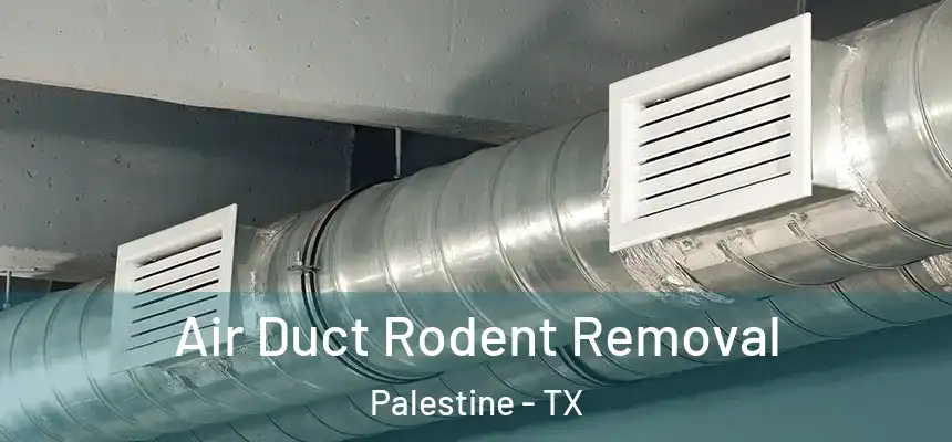 Air Duct Rodent Removal Palestine - TX