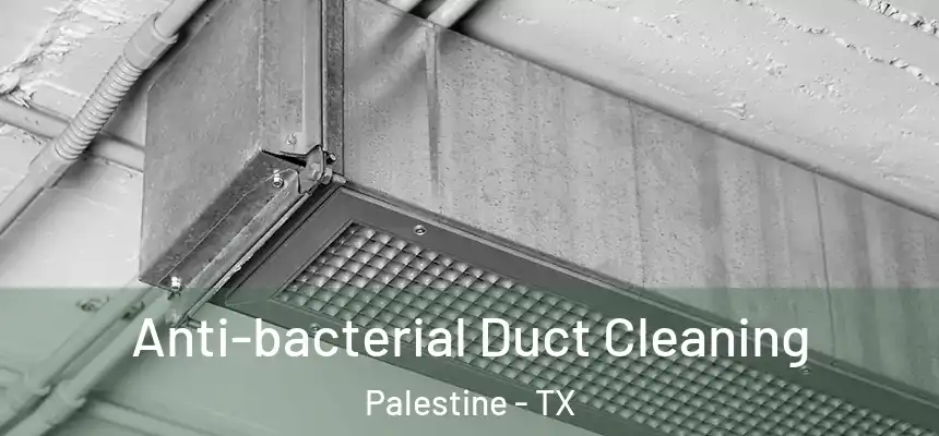  Anti-bacterial Duct Cleaning Palestine - TX