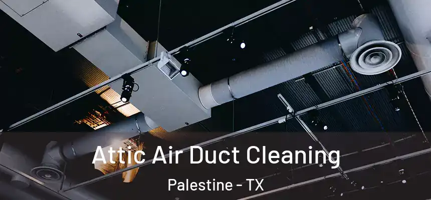  Attic Air Duct Cleaning Palestine - TX