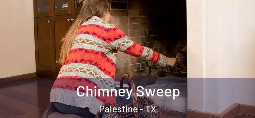  Chimney Sweep Palestine - TX