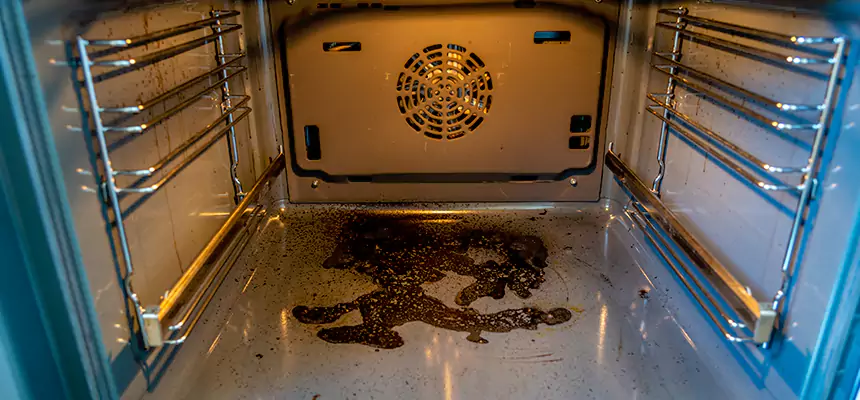 Our Air Purifier Installation Services in Palestine, TX