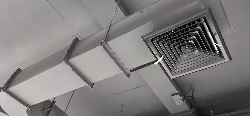 Restorative Allergy Relief Vent Cleaning – Coil, Blower & Housing Detail in Palestine