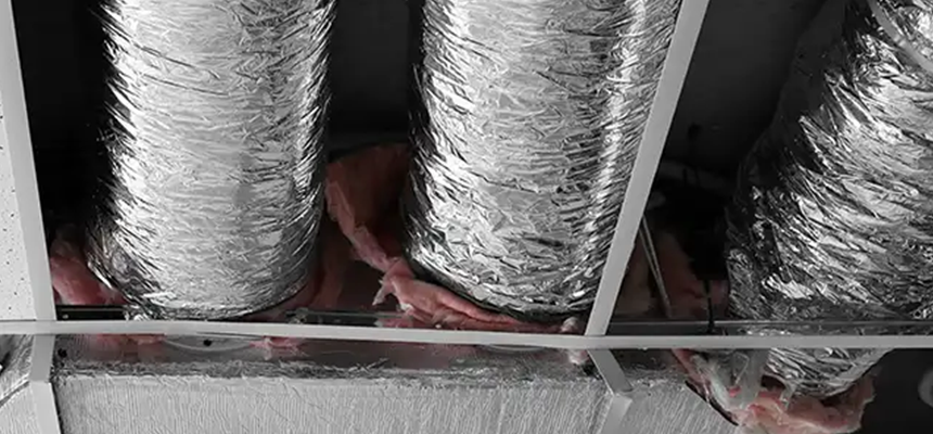 Scalable Commercial Multi‑Unit Dryer Vent Camera Inspection in Palestine, TX