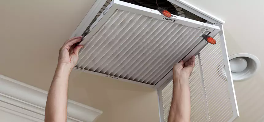 Our Insect Removal from Air Ducts Services in Palestine, TX