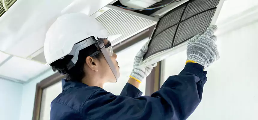 Our Mold & Mildew Removal from Air Ducts Services in Palestine, TX