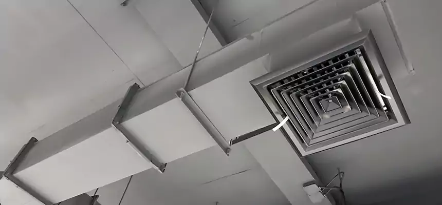 Our Rodent Droppings In Vents Services in Palestine, TX