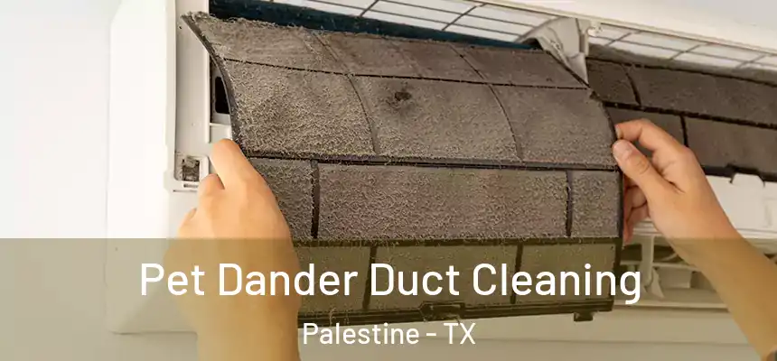  Pet Dander Duct Cleaning Palestine - TX