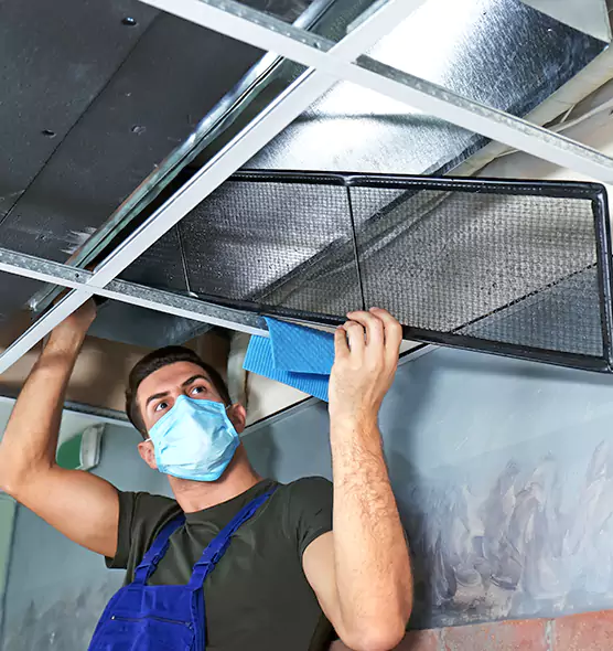 Professional Air Duct Pollen Cleaning in Palestine, TX
