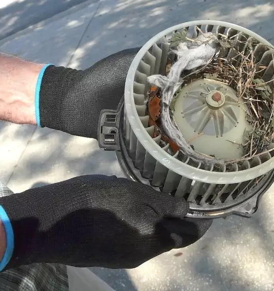 About Air Duct Rat Removal in Palestine, TX