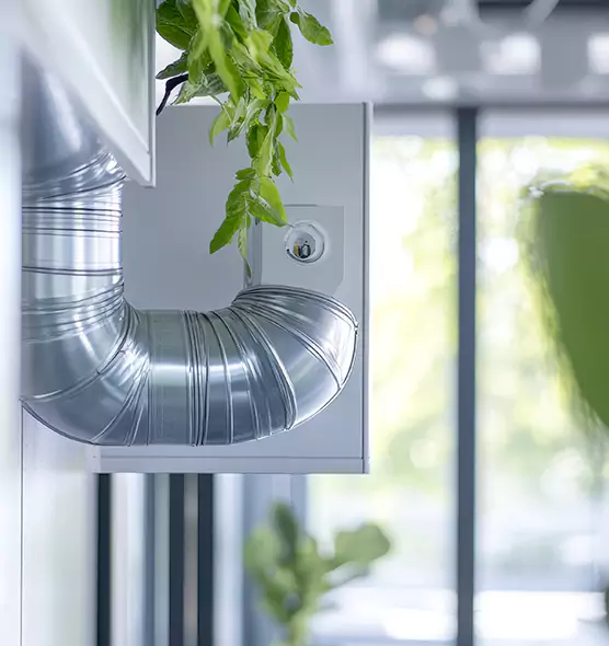 Professional Eco-Friendly Duct Cleaning Services in Palestine, TX