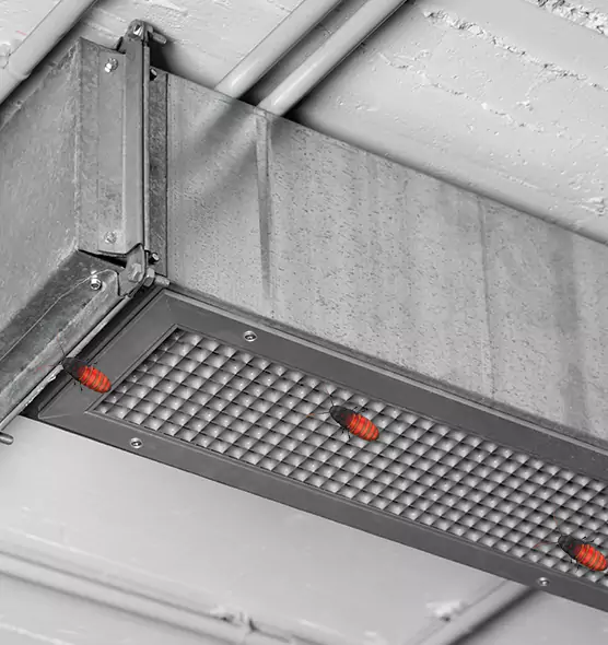 Affordable Insect Removal from Air Ducts in Palestine, TX