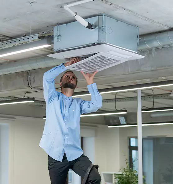 Advanced Rodent Droppings In Vents in Palestine, TX