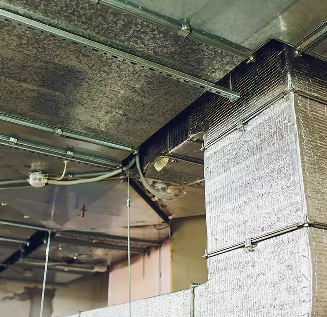 Why Homeowners & Businesses Trust Us in Palestine, TX?