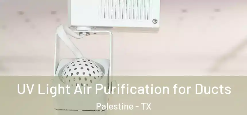  UV Light Air Purification for Ducts Palestine - TX